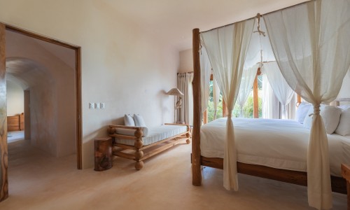 Jungle Suite Lower